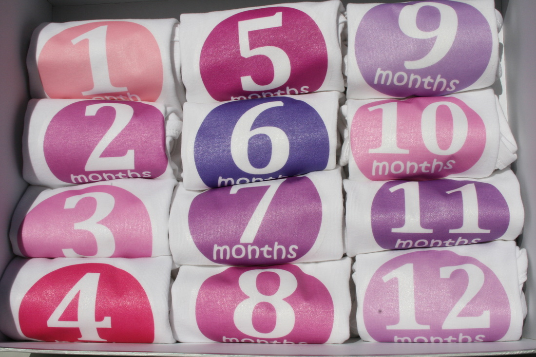 12 months of onsies pink baby shower newborn gift